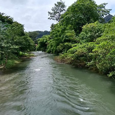 Khao Sok River & Jungle Bungalow Khao Sok National Park Dış mekan fotoğraf