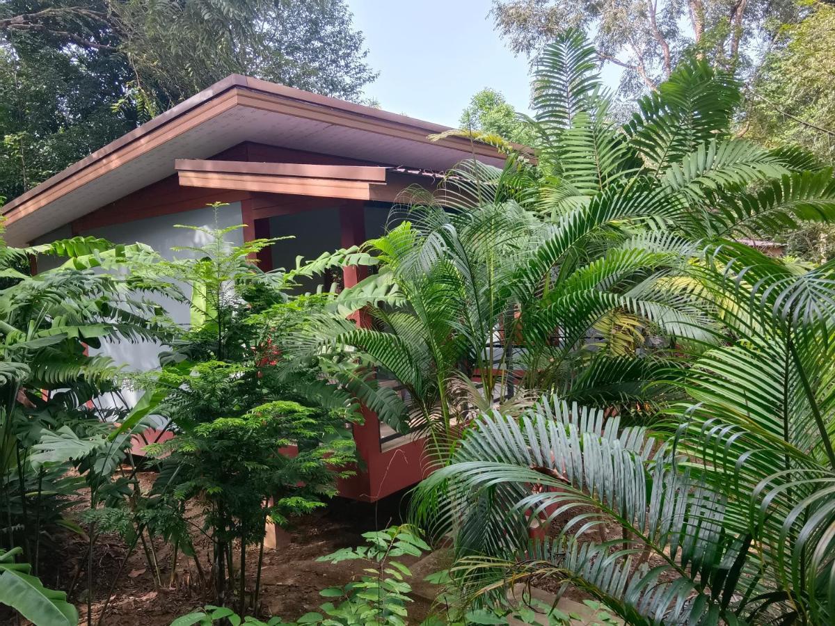 Khao Sok River & Jungle Bungalow Khao Sok National Park Dış mekan fotoğraf