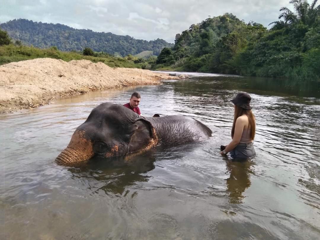 Khao Sok River & Jungle Bungalow Khao Sok National Park Dış mekan fotoğraf