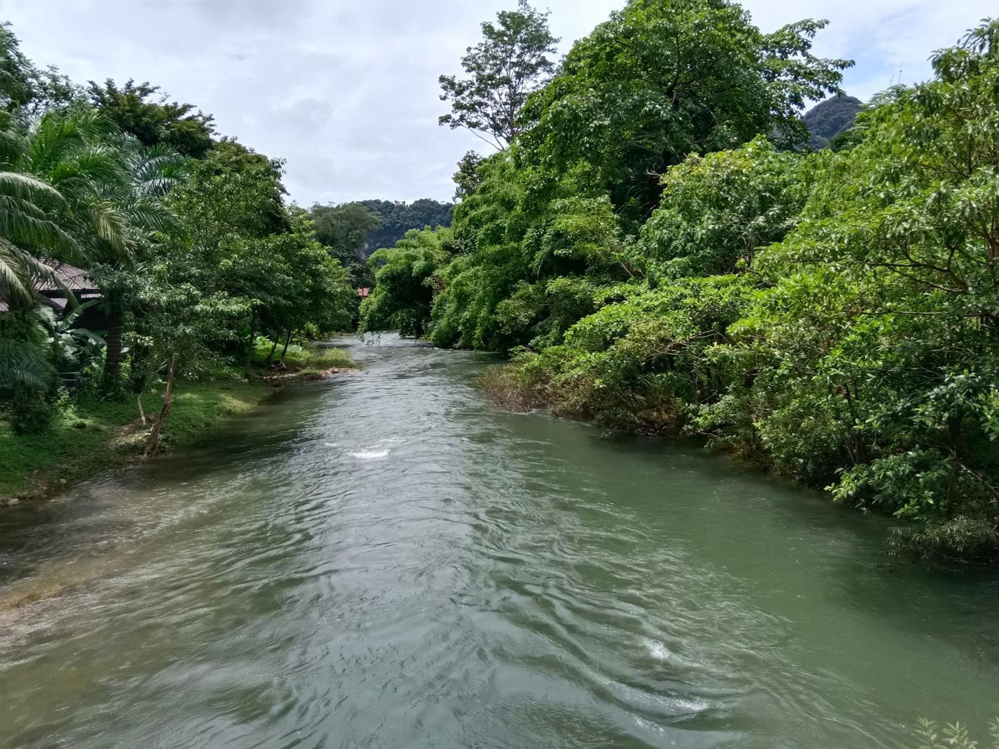 Khao Sok River & Jungle Bungalow Khao Sok National Park Dış mekan fotoğraf